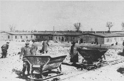 MajdanekWorkers